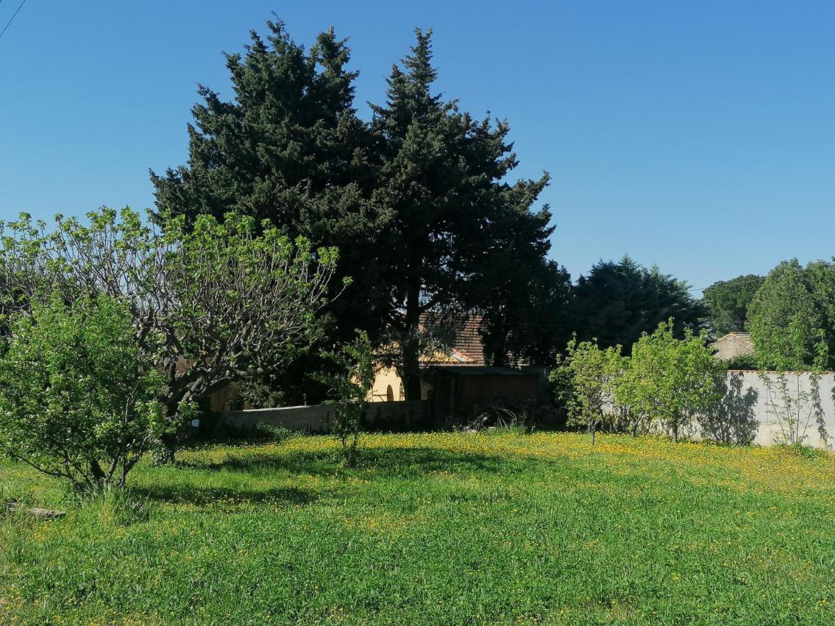 Villa Kps Pujaut Екстериор снимка